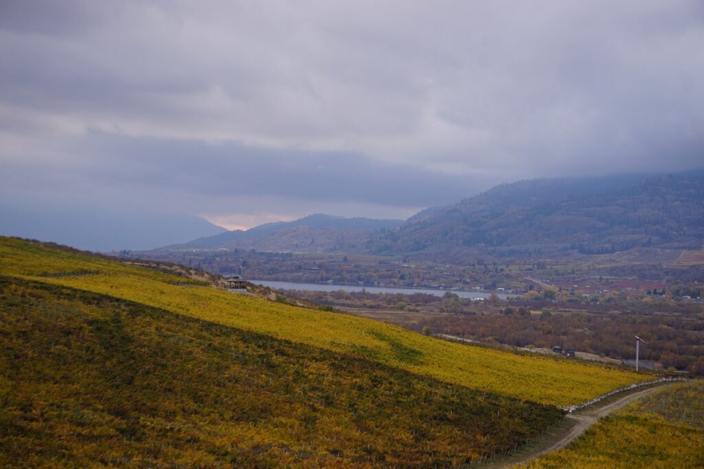 wine, wine making, osoyoos