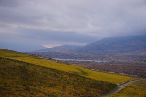 wine, wine making, osoyoos